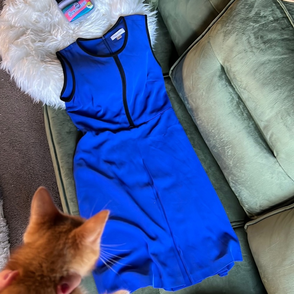 Office dress, actual color no filter added to picture